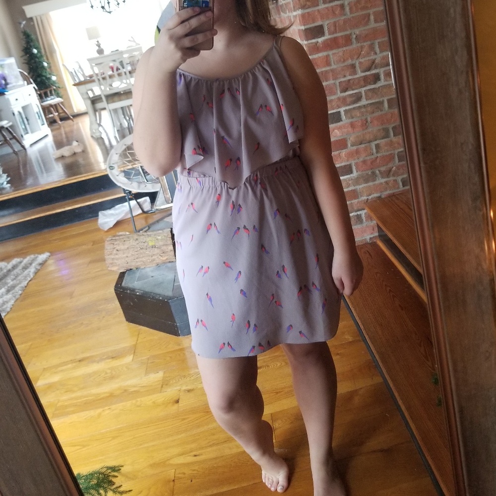 American Eagle Print Dress